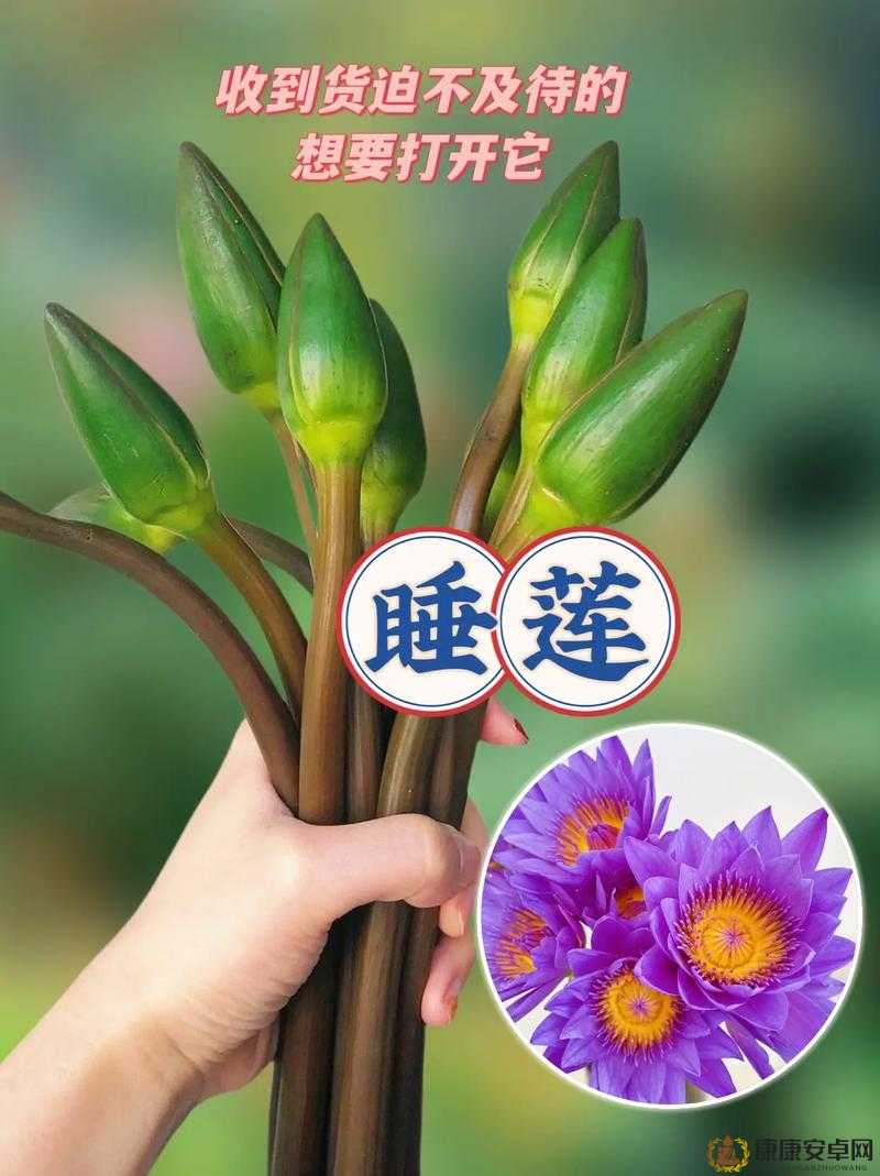 女人半夜莲花开很难受：探索原因及应对方法